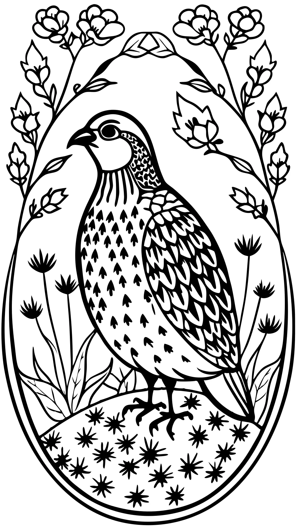 quail coloring page